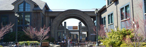 Haas School of Business - UC Berkeley