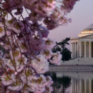 3 Washington DC Nonprofit MBA Programs You Need To Know